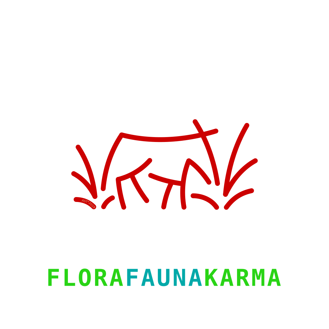 FloraFaunaKarma, Illustration 01/2019